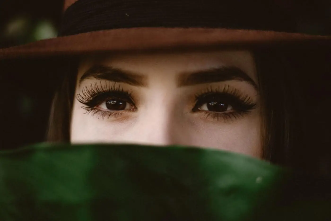 Close-up of well-groomed eyebrows
